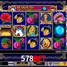578bet Rio de Janeiro - Bonus Terms